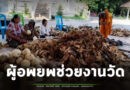 สาธุ..ผู้อพยพไม่อยู่เฉย! ต่างช่วยกันปอกเปลือกมะพร้าว เตรียมไว้ทำบุญกวนข้าวทิพย์ ในวันออกพรรษาที่จะถึงนี้