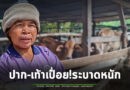 ซ้ำเติมเกษตรกร! โรคปากและเท้าเปื่อย ระบาด วัว-ควาย ป่วย-ตายเพียบ แถมยังต้องมาระแวงเขมรเปิดศึกอีก