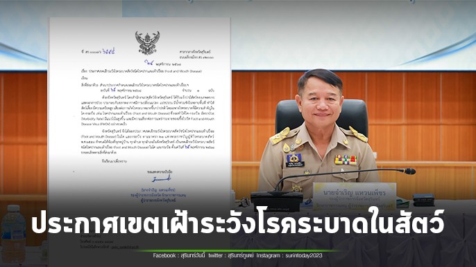 จังหวัดสุรินทร์ ประกาศเขตเฝ้าระวังโรคระบาดในสัตว์แล้วทั้งจังหวัด หลังโรคปากและเท้าเปื่อย คร่าชีวิตวัว-ควายแล้วกว่า 300 ตัว