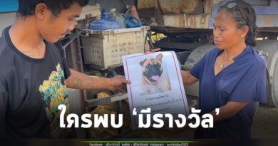 สาวใหญ่ อ.ปราสาท ประกาศตามหาสุนัข สุดรัก! หายไป 3 วัน กินไม่ได้ นอนไม่หลับ เฝ้ารอวันกลับมา เชื่อ..มีคนเอาไปแน่นอน