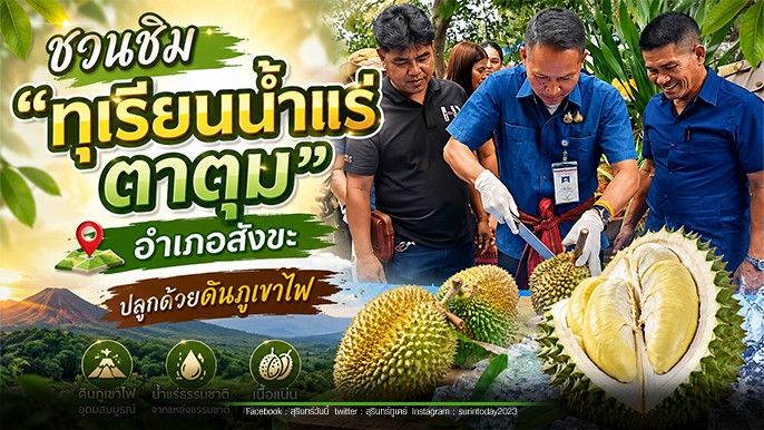 ชวนสัมผัส “ทุเรียนน้ำแร่ ตาตุม” จากแร่ธาตุดินภูเขาไฟ กลิ่นหอมละมุนเป็นเอกลักษณ์