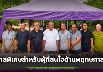 สวนนงนุชพัทยาผ่า “มะพร้าวทะเล” พืชหายากเมล็ดใหญ่ที่สุดในโลก เผยภาพภายในผลที่แทบไม่มีใครเคยเห็น