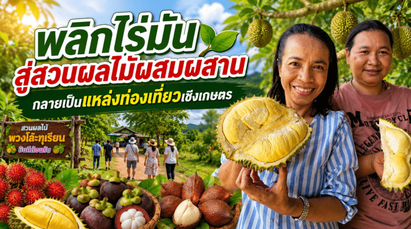 พยาบาลสาวพลิกไร่มันสำปะหลัง สู่สวนผลไม้ผสมผสาน 30 ไร่ สร้างรายได้-แหล่งท่องเที่ยวเชิงเกษตร