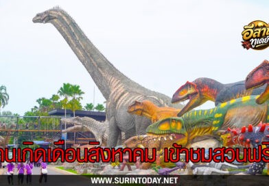 สวนนงนุชพัทยา มอบของขวัญวันเกิดให้คนเกิดเดือนสิงหาคม เข้าชมสวน พร้อมเข้าชมพิพิธภัณฑ์พระพุทธคุณ ฟรีตลอดเดือน