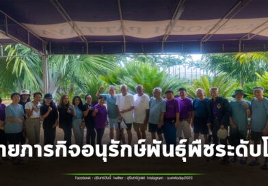 สวนนงนุชพัทยา ปลูก “มะพร้าวทะเล” เพิ่ม 23 ต้น ขยายภารกิจอนุรักษ์พันธุ์พืชระดับโลก สร้างประชากรนอกถิ่นกำเนิดครั้งใหญ่ที่สุดของสวนพฤกษศาสตร์