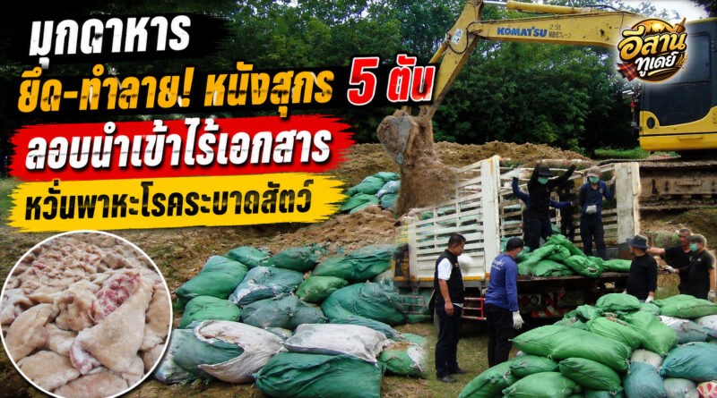 มุกดาหาร ลุยทำลายหนังสุกรแช่แข็งของกลาง 5,080 กิโลกรัม หลังลักลอบนำเข้า หวั่นเป็นพาหะโรคระบาดสัตว์