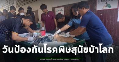ปศุสัตว์สุรินทร์ จัดงานวันป้องกันโรคพิษสุนัขบ้าโลก ประจำปี 2569 ชาวบ้านนำ หมา แมว ต่อคิวทำหมัน ฉีดวัคซีนแน่น