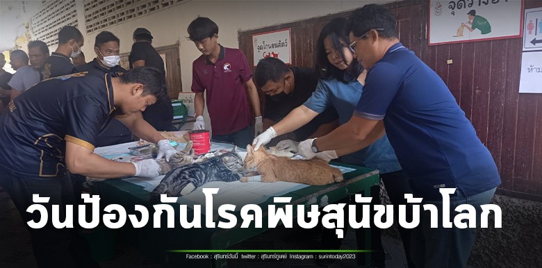 ปศุสัตว์สุรินทร์ จัดงานวันป้องกันโรคพิษสุนัขบ้าโลก ประจำปี 2569 ชาวบ้านนำ หมา แมว ต่อคิวทำหมัน ฉีดวัคซีนแน่น