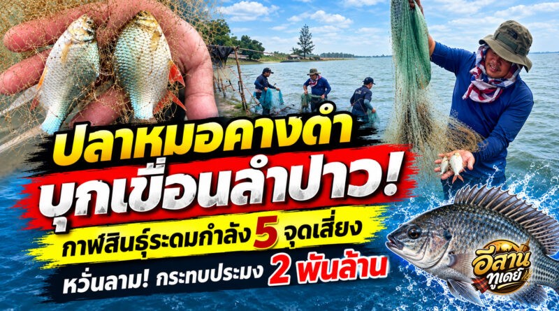 “ปลาหมอคางดำ” โผล่เขื่อนลำปาว กาฬสินธุ์ระดมกำลังสกัด หวั่นกระทบระบบนิเวศ-เศรษฐกิจประมงกว่า 2 พันล้าน