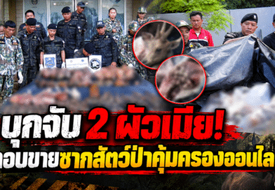 มุกดาหารบุกจับ 2 ผัวเมีย ลอบขายซากสัตว์ป่าคุ้มครองออนไลน์ ยึดของกลางเพียบ