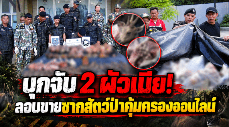 มุกดาหารบุกจับ 2 ผัวเมีย ลอบขายซากสัตว์ป่าคุ้มครองออนไลน์ ยึดของกลางเพียบ