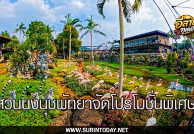 สวนนงนุชพัทยา ชวนเที่ยวปิดเทอม “สนุกทุกวัย เที่ยวได้ทั้งครอบครัว” คนเกิดเดือนตุลาคมเข้าฟรีตลอดเดือน